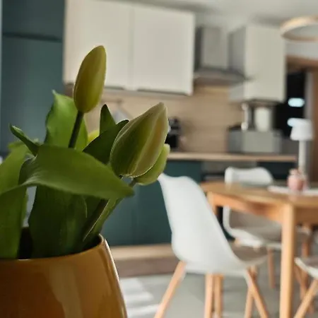 Apartmán Apartma Mia Nadiza *